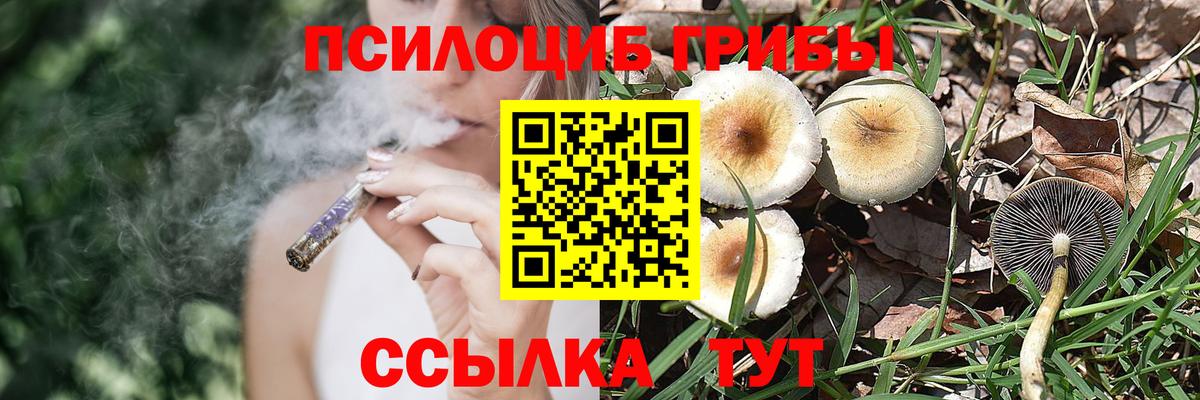 Спасск-Дальний  Псилоцибиновые грибы мицелий  Вход с VPN  Псилоцибиновые грибы прущие грибы 